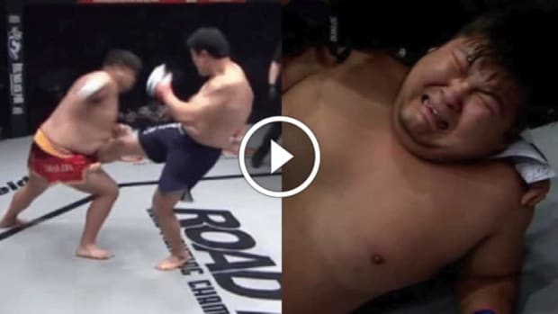 The 3 most DEVASTATING low blows ever landed in MMA