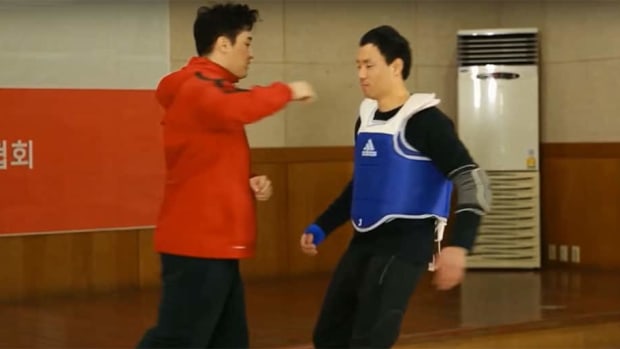 How many can you identify? - Martial arts expert demonstrates 15 wildly different styles