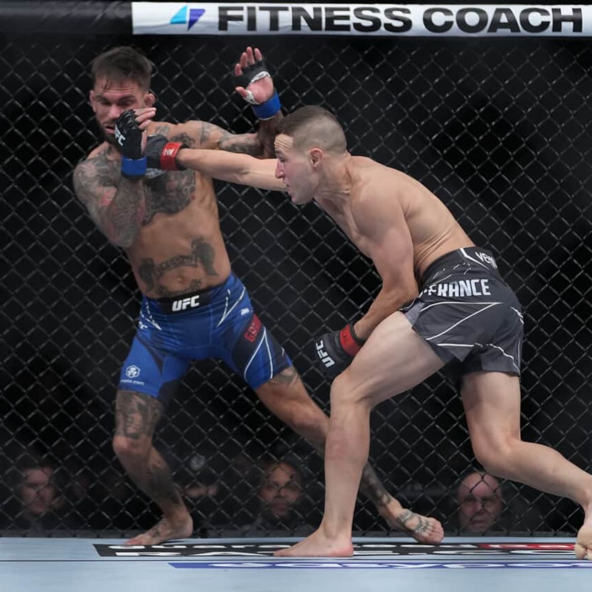 A new study finds MMA fighters take ten times more head trauma in training, compared to fights image