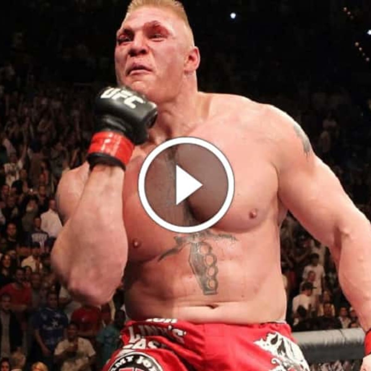 10 shocking facts you didn't know about Brock Lesnar - MMA Underground 10 shocking facts you didn't know about Brock Lesnar - MMA Underground