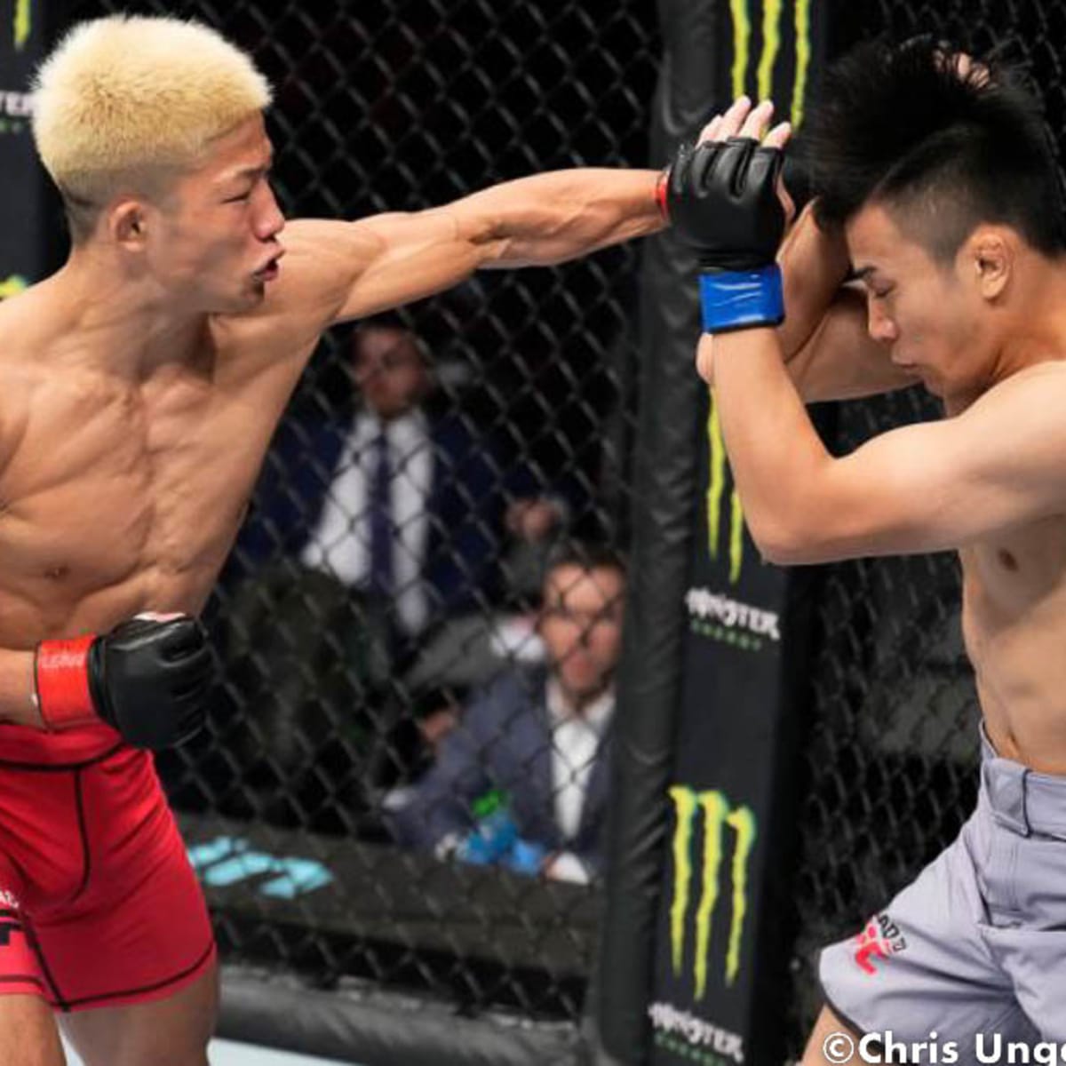 Rinya Nakamura (Bantamweight) MMA Profile - ESPN