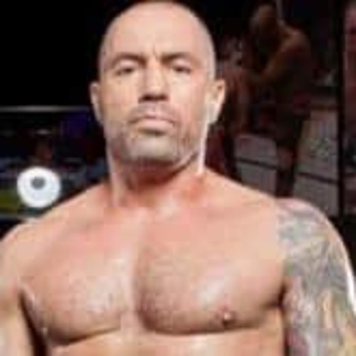 Joe Rogan on why you should work out MMA Underground