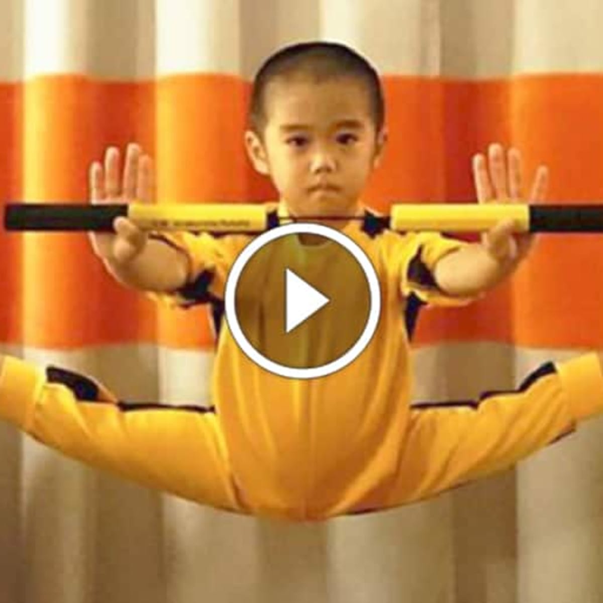 The little bruce lee discount