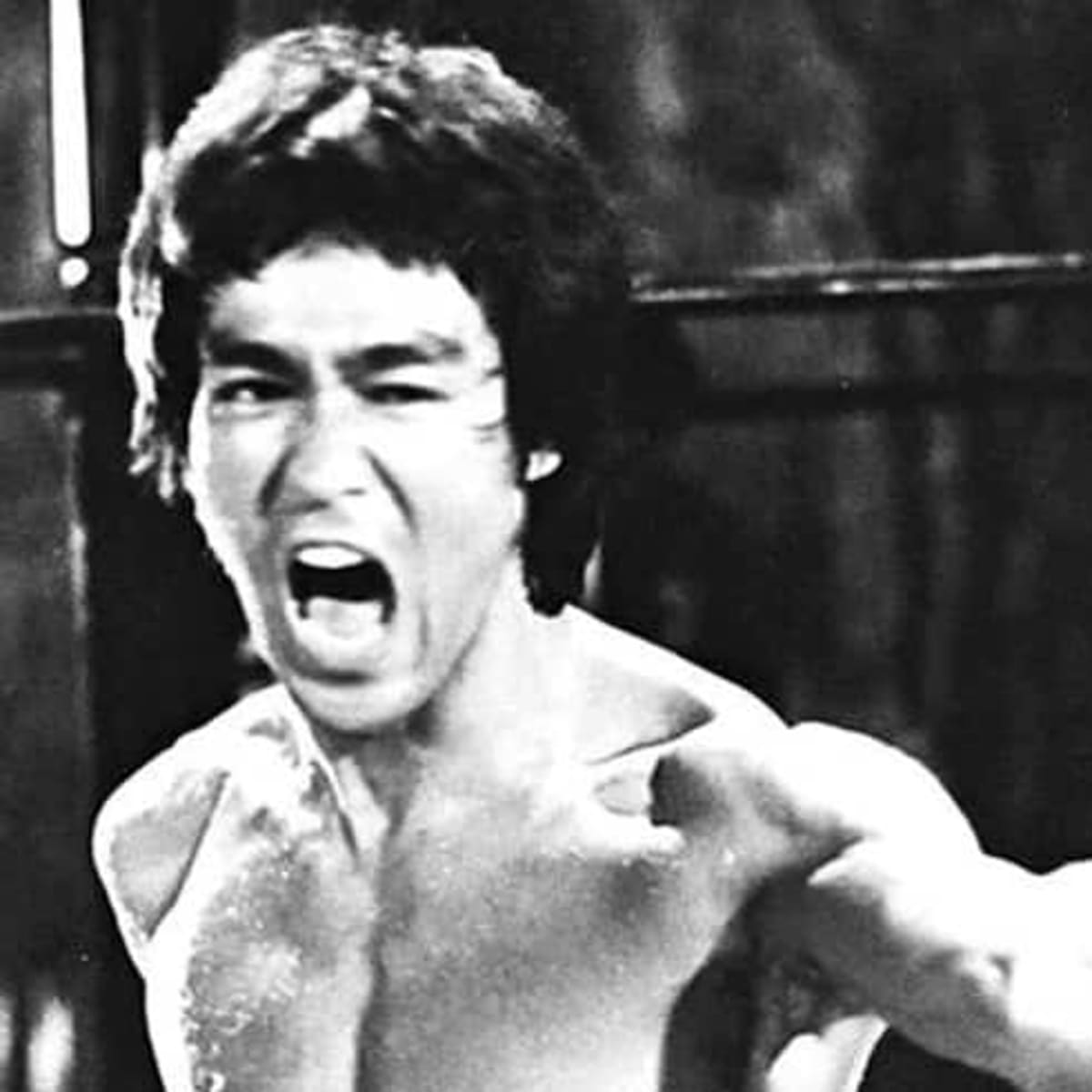 Bruce lee screams best sale
