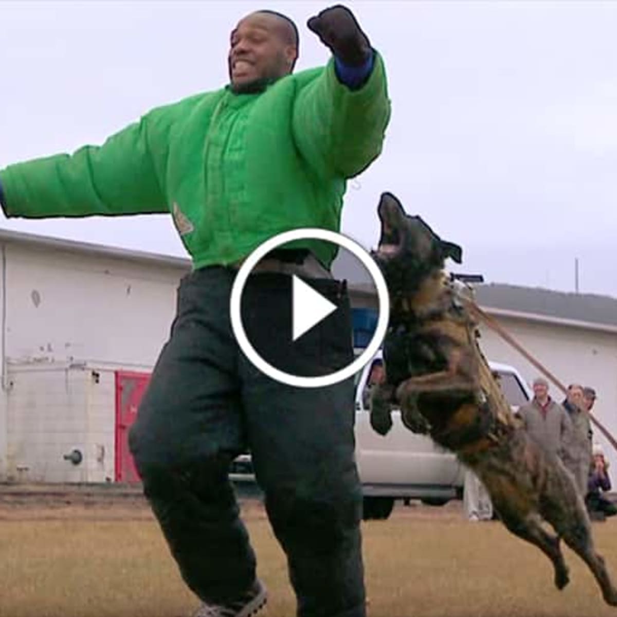 Police academy hot sale dog training