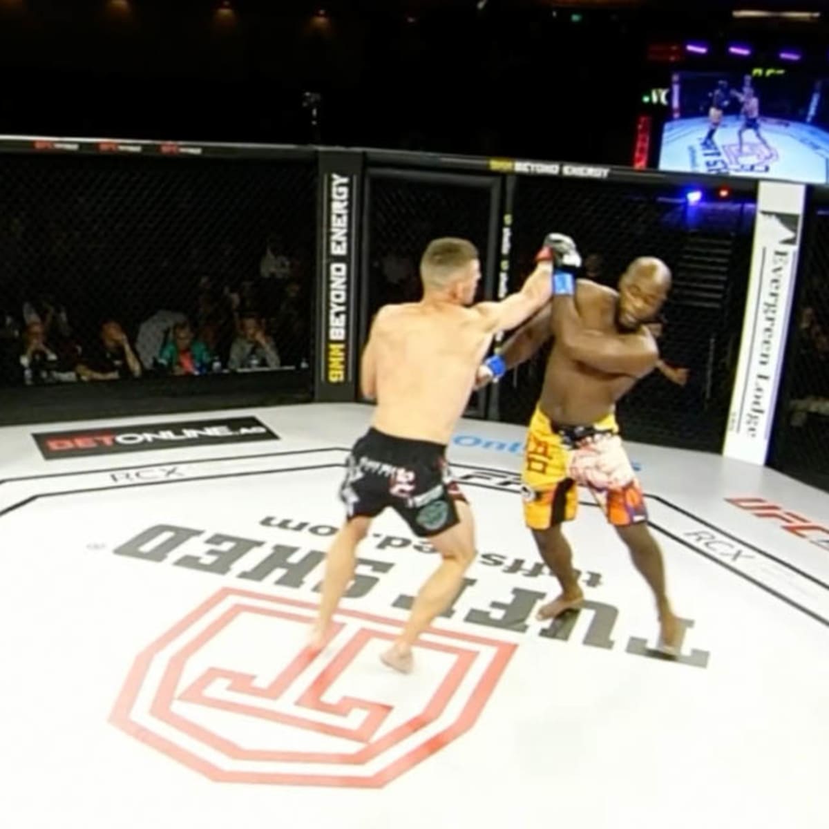 Ufc vr deals