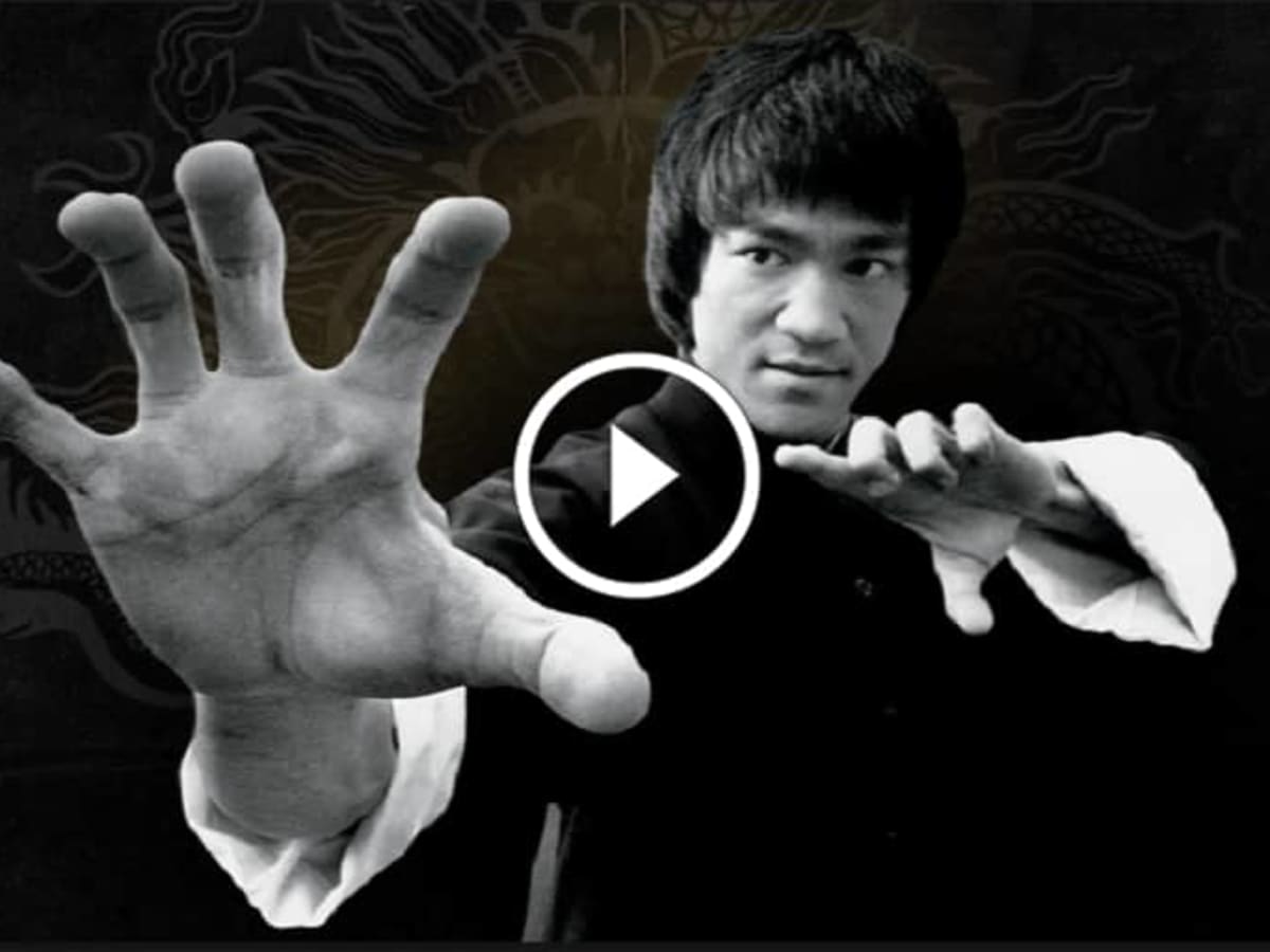 Bruce lees online
