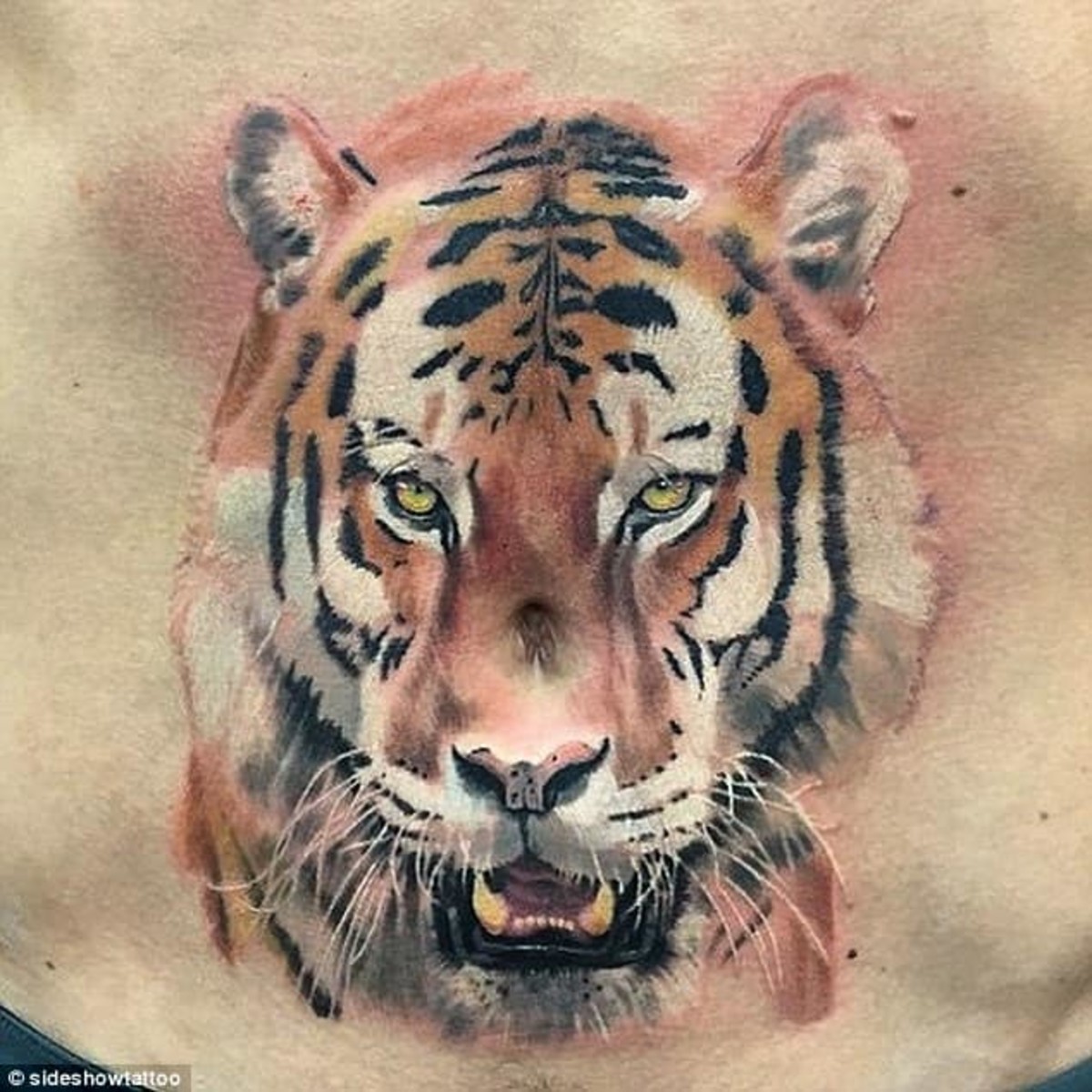 Top 5 Worst Tattoos in UFC history - MMA Underground Top 5 Worst Tattoos in UFC history - MMA Underground