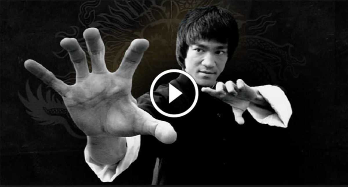 Bruce lee jkd hotsell