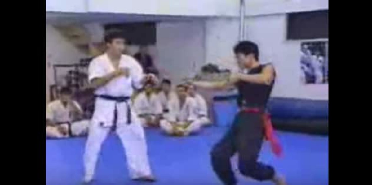 Knockdown Karate vs. Snake Kung Fu