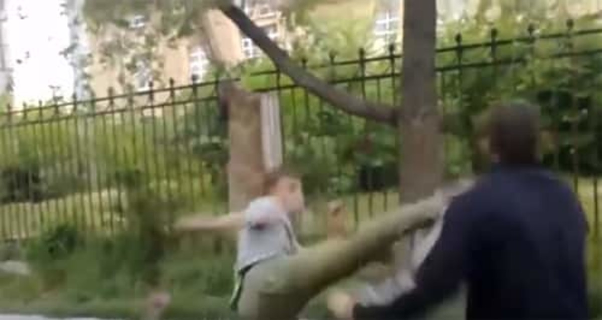 TaeKwonDo knockout in a street fight